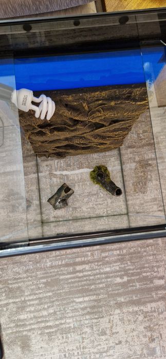 Продам террариум