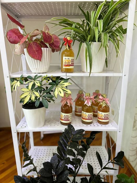 Olma sirkasi яблочный уксус