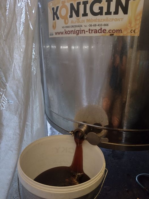 Vând miere de mană angro producție 2024