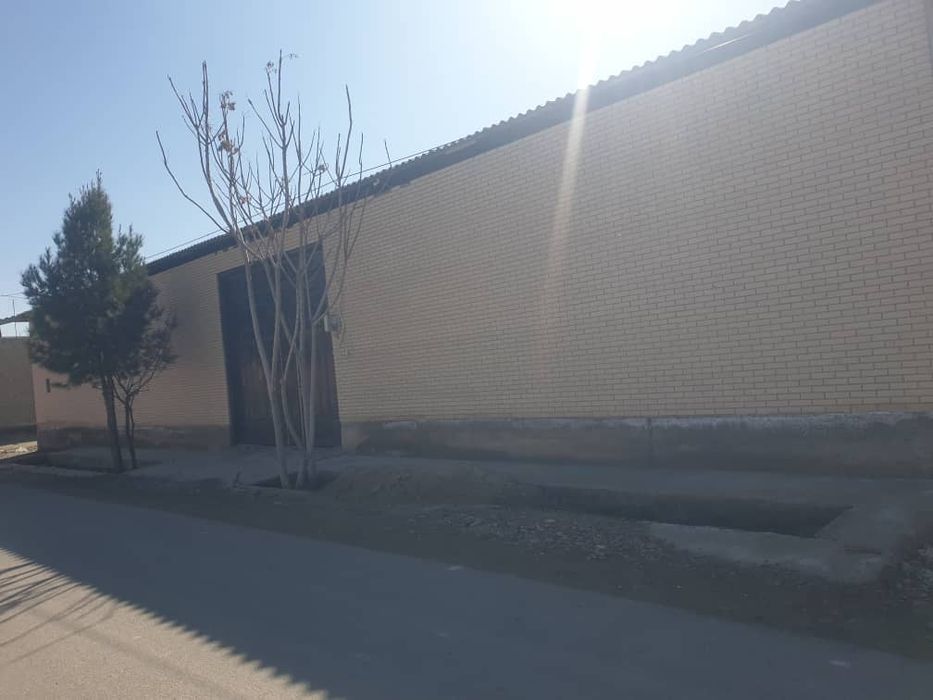 Uchastka sotiladi 5 sotiq Guliston kocha