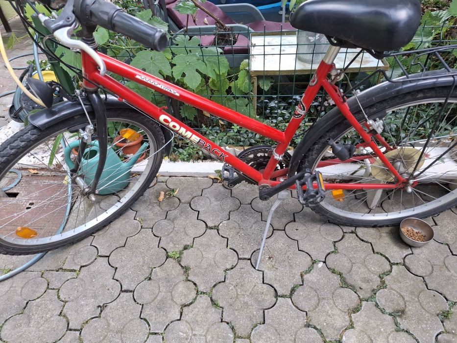 Bicicleta de fete rosie