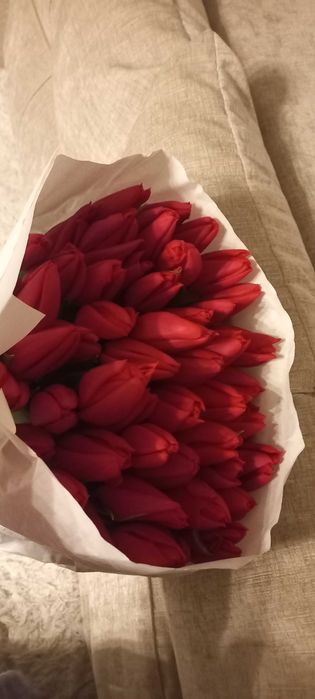 Продаю тюльпаны!!!