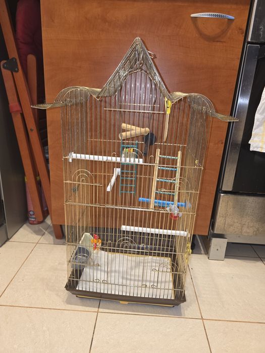 Colivie pentru pasari completă, mare și funcțională