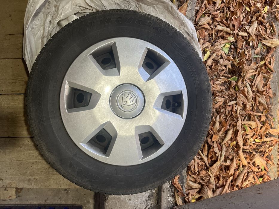 Vand anvelope  195/65/R15