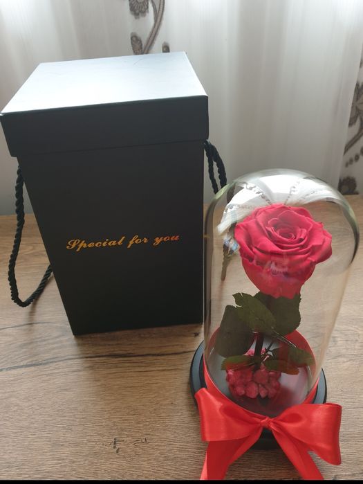 Trandafir criogenat 18 cm