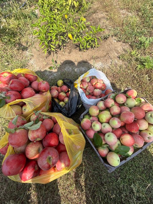 Срочно продам  дом