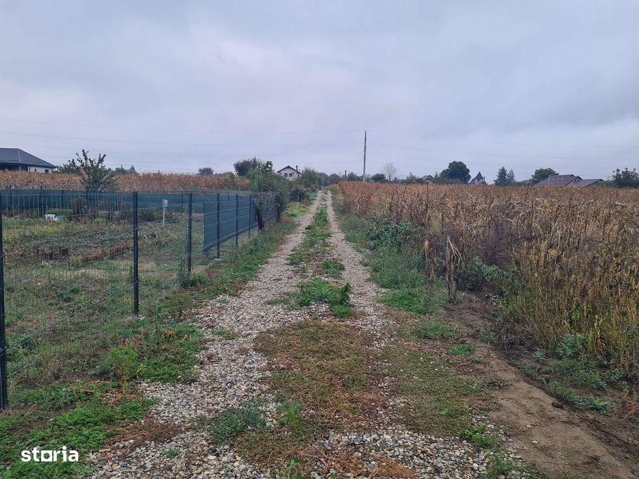 Teren 1100 mp / 550 mp- intravilan Lilieci, Bacau