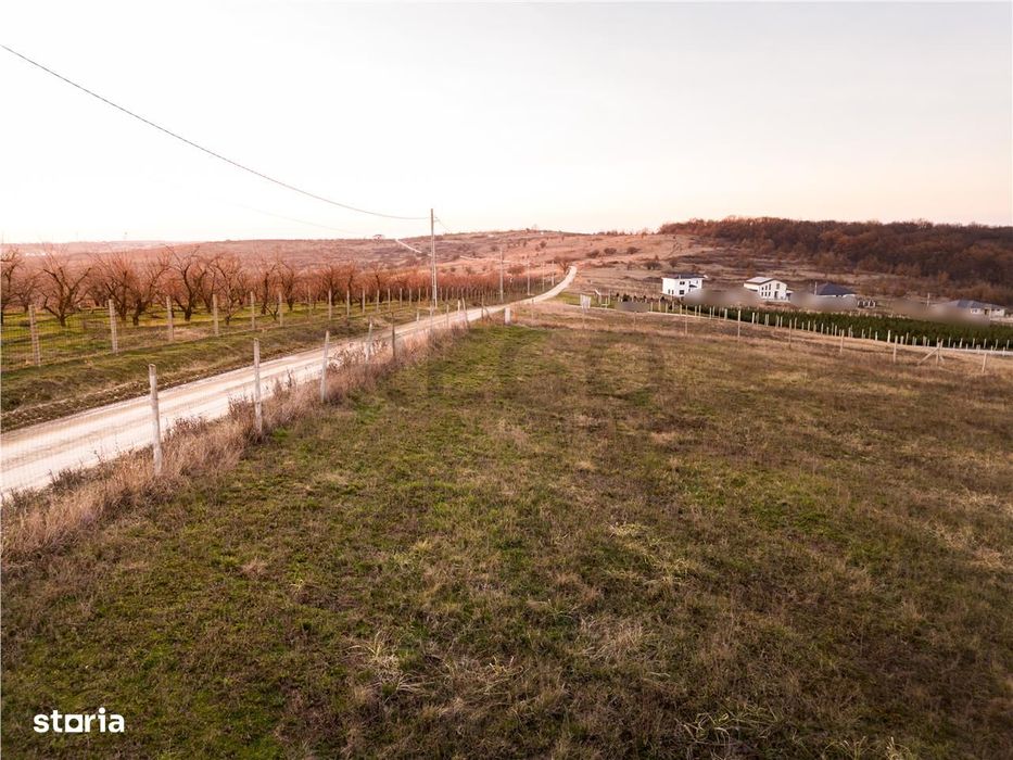 RECO Teren intravilan in Saldabagiu de Munte