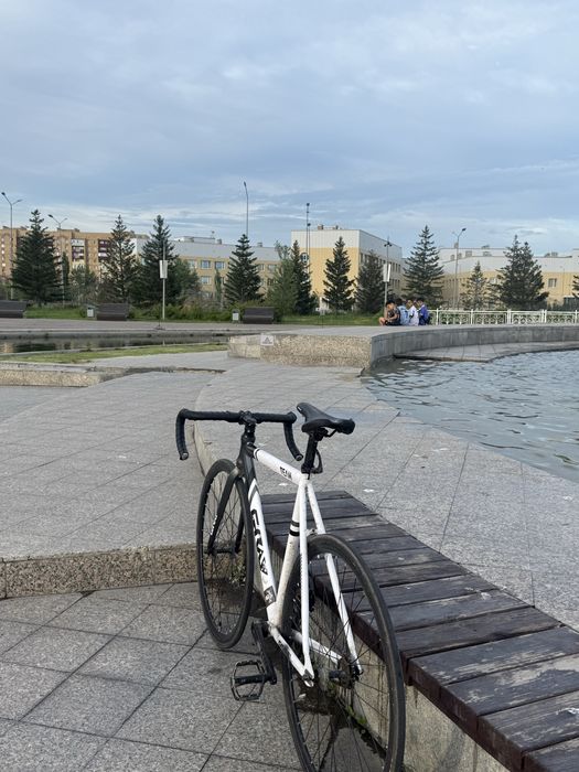 fixed-gear , gray team ,