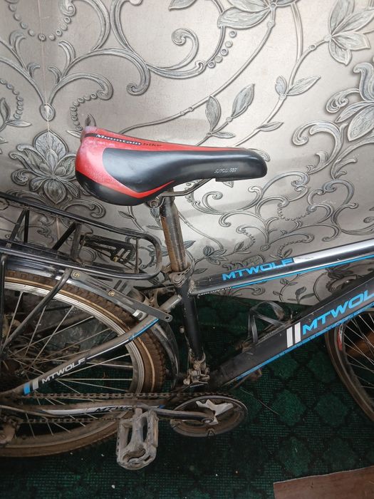 Vesoliped ozgina aybi bor