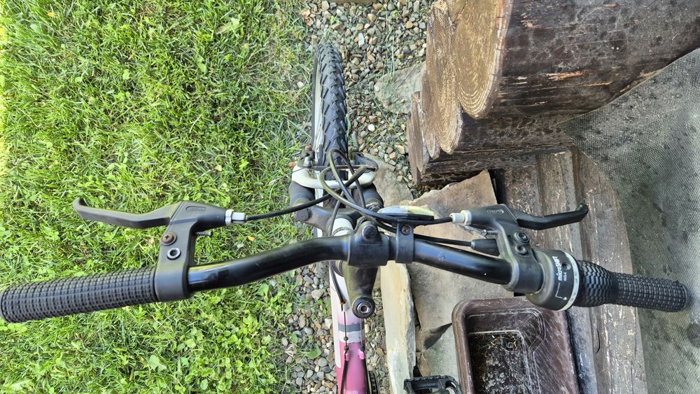 Bicicleta Vesuvius Terrain 20