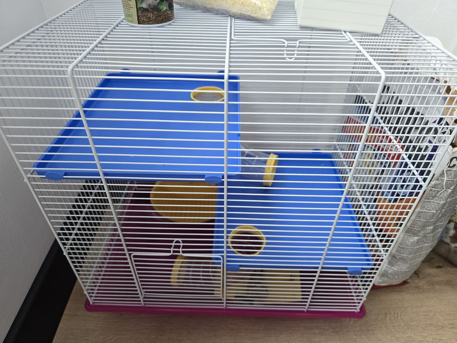 Cusca hamster cu tobogane si casuta