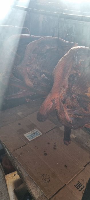 Продам мясо гуся