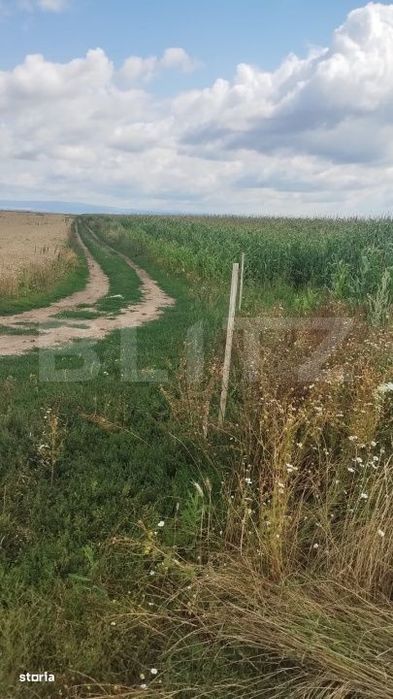 Teren de vanzare, pozitie excelenta, pentru investitie, in Cristian
