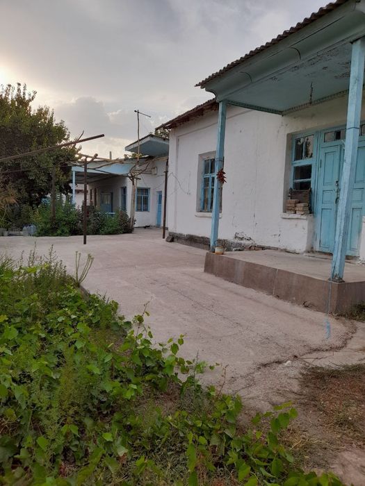 26 sotix kadastr bor