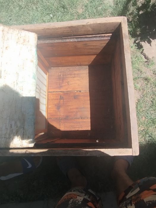 Улики для пчел .