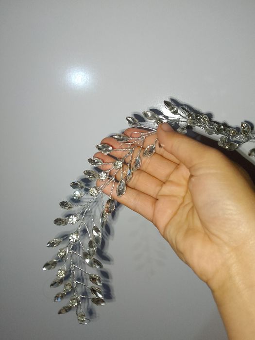 Diadema tillaqoshlar