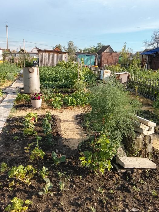 Продам дачу в Новопавловке