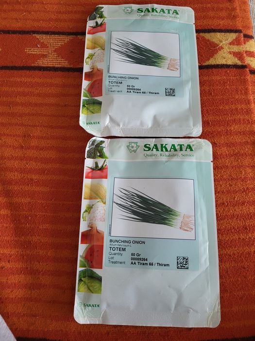Семена зелёного лука SAKATA
