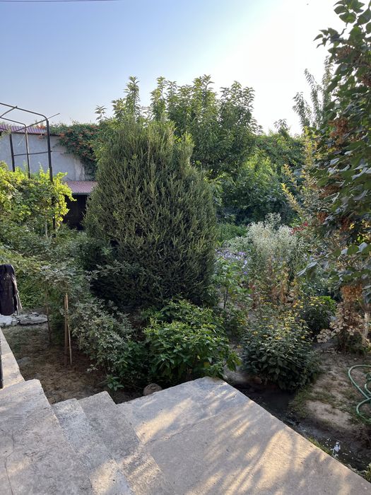 Каттакон ҳовли сотилади. Икки қаватли, жуда мустаҳкам қурилган. Фудаме