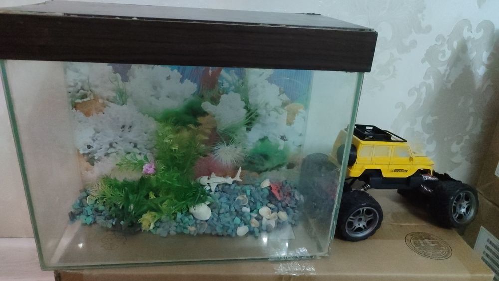 Аквариум продам 5000