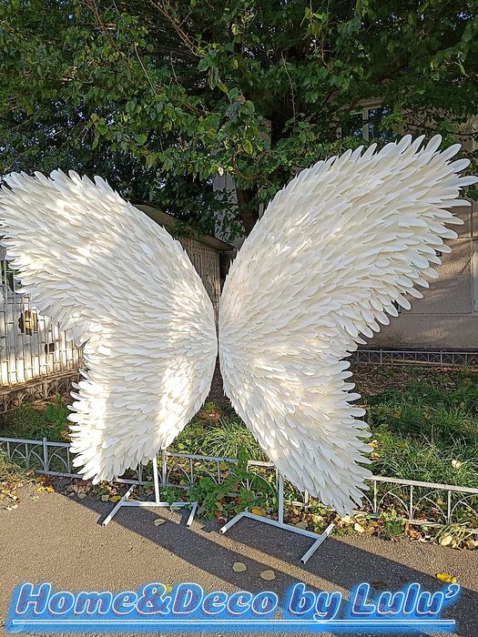 Aripi Inger Gigant pe comanda_PhotoCorner