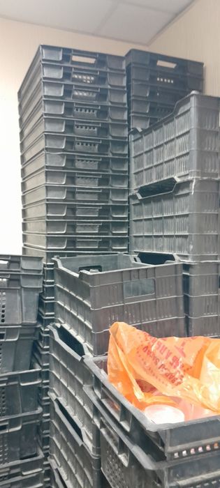 Сетка для все zeta