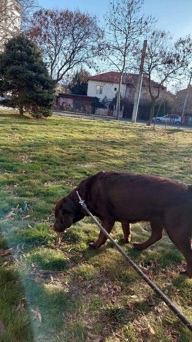 Гледане на животни (10г опит)