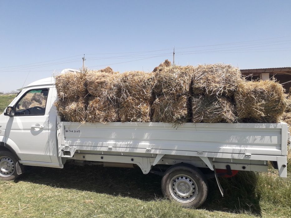 Юкингизни ерда колмасин..