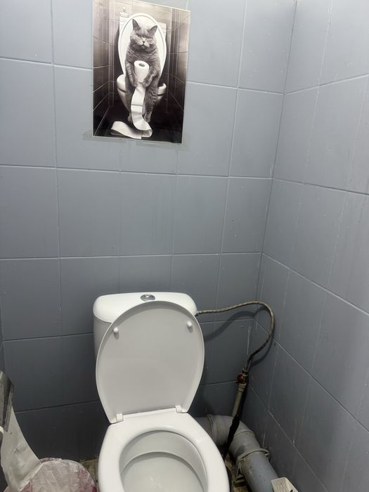 Возьму одного парня на подселение