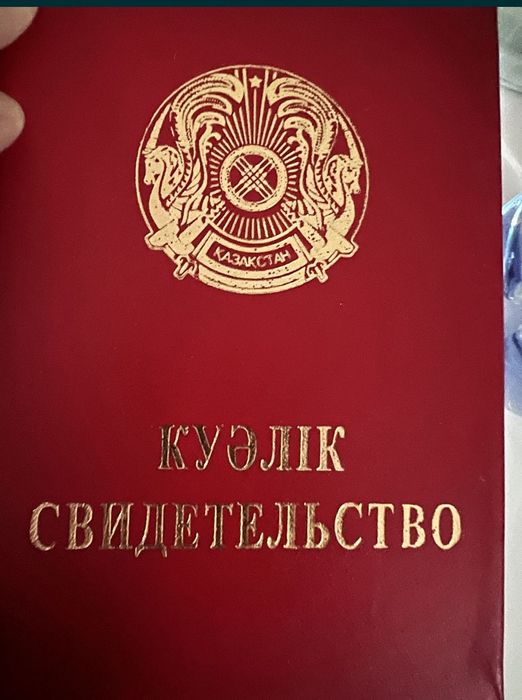 массаж профессиональный