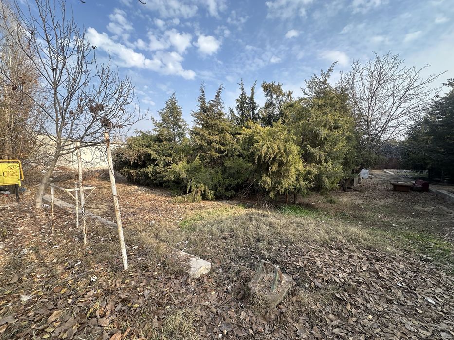 Янгихаёт, Чоштепа 4 сотих ер