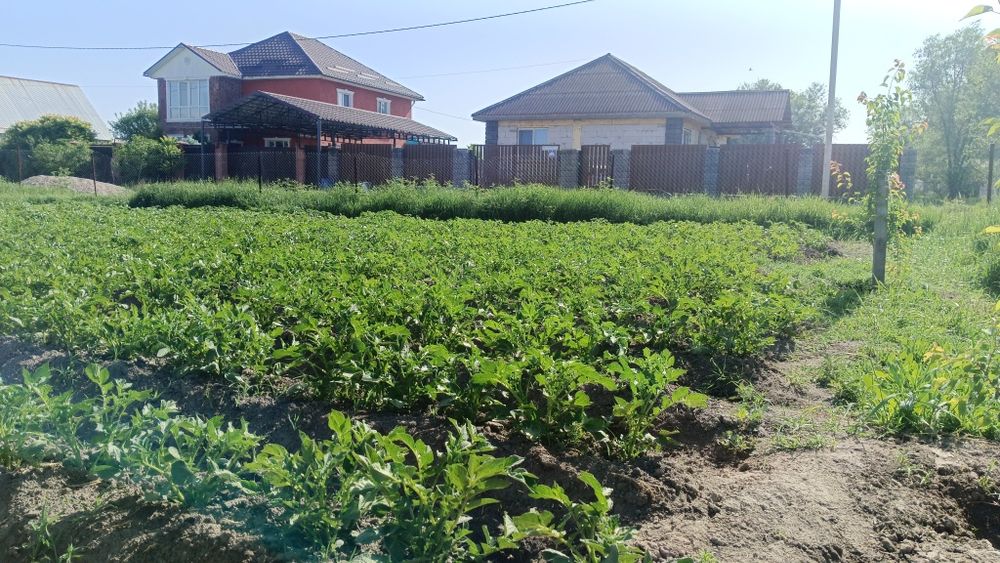 Продам Участок, 6,5 соток