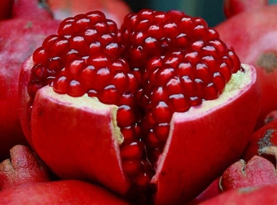 Гранат без косточек американский