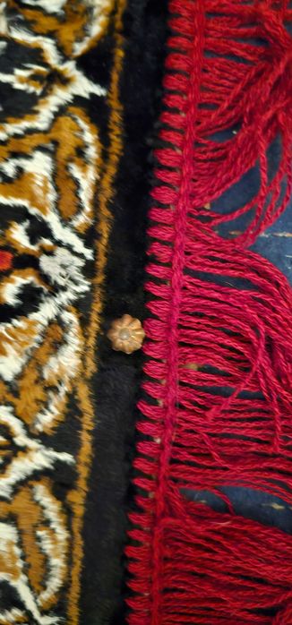 carpeta cu rapiea din serai