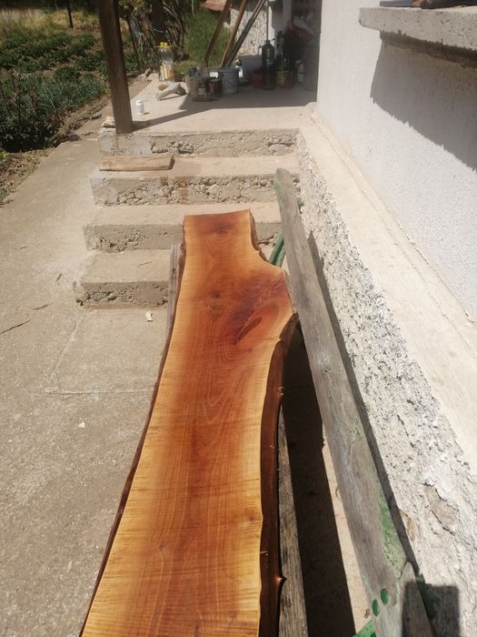 Орехови янове от 240 см