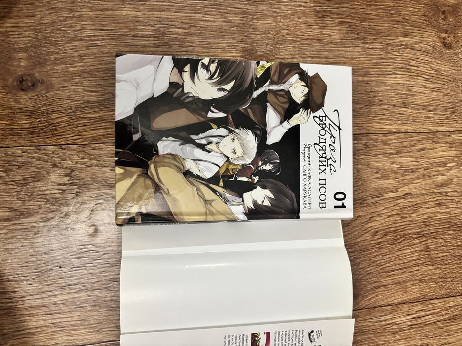 Книги  современная литература