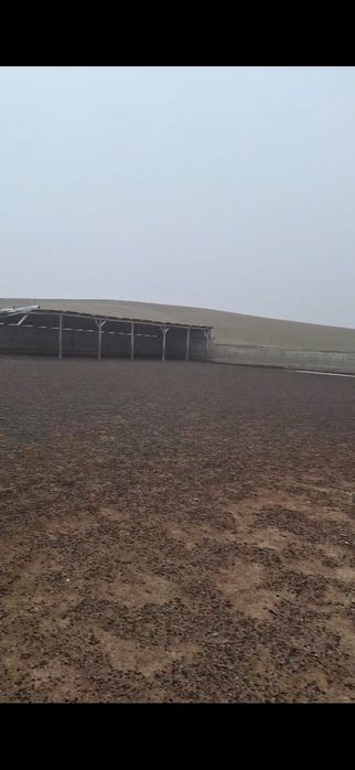 Фазенда сатылады  1600га