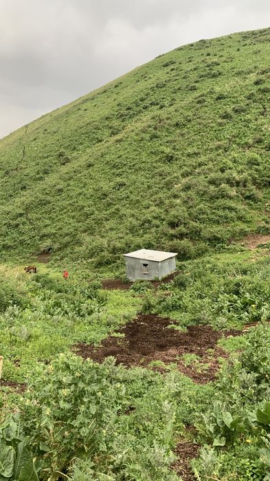 Участок 19,5 гектаров