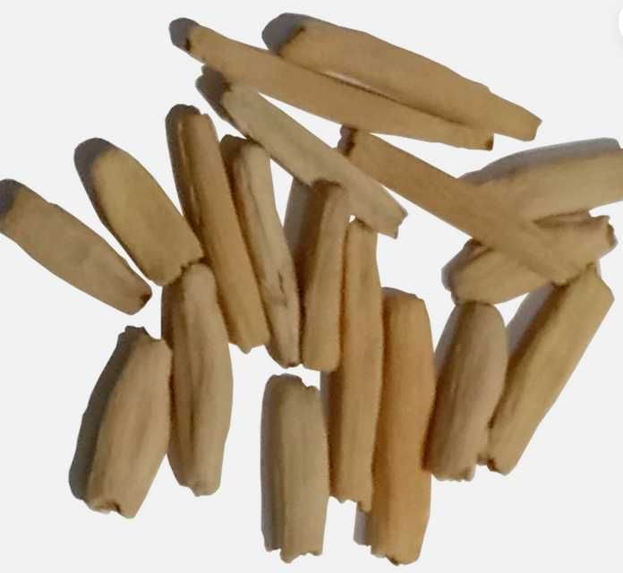 Adenium Trandafirul Desertului