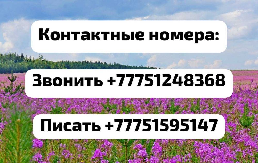 Сдам квартиру на долгий срок