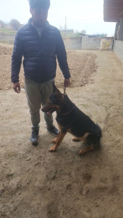 Yeb ichishi joyida soliqlarri yaxshi vaqtiga emlangan i