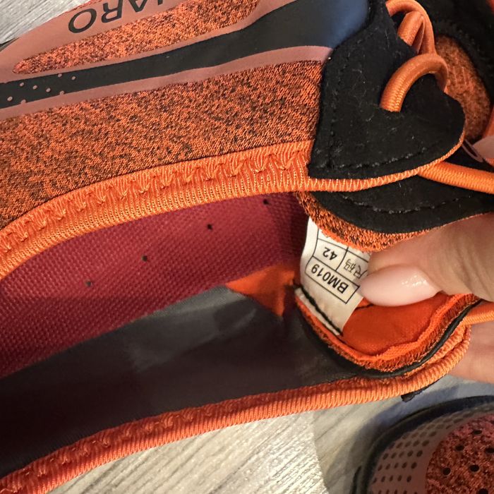 Saguaro barefoot 42 noi