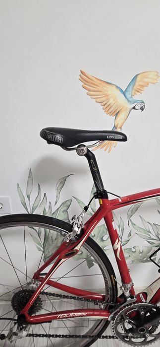 Vând Cursieră Specialized Roubaix (Cadru Full Carbon, Echipare Shimano Ultegra)