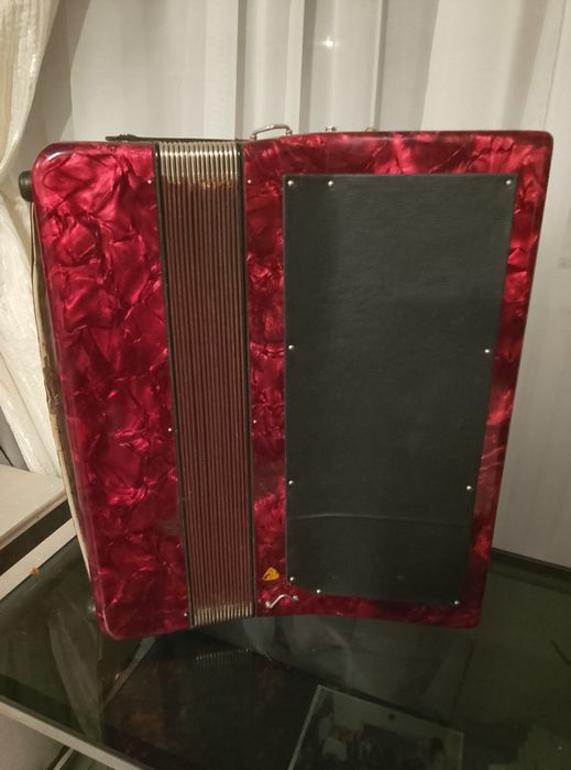 Acordeon weltmeister