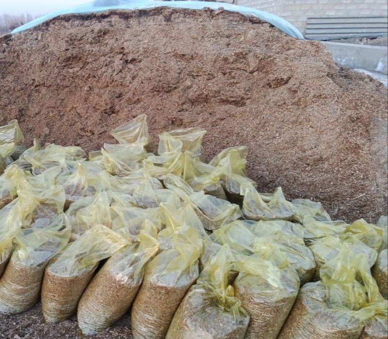 Makkayi selos yaguarda o'rilgan.