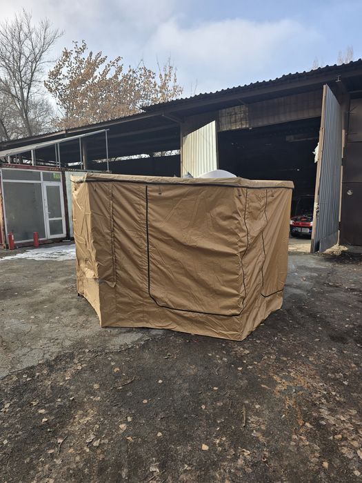 Маркиза веерная.