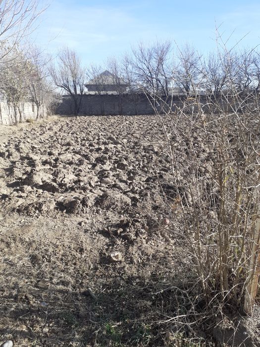 Hovli uchun kafolat beramiz