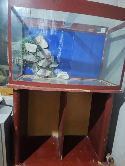 Akvariyum 250 litrli