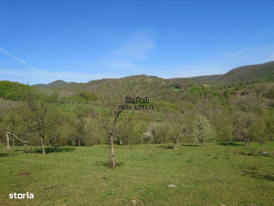 Teren intravilan si extravilan Luncoiu de Jos
